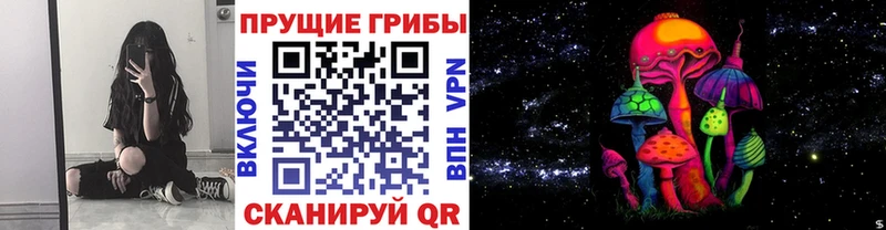 Галлюциногенные грибы Psilocybe  mega вход  Сорск  наркота 